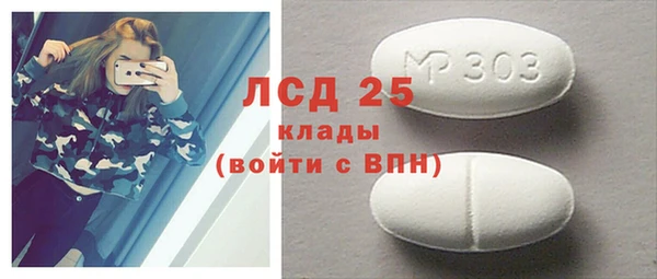 прущие грибы Михайловка