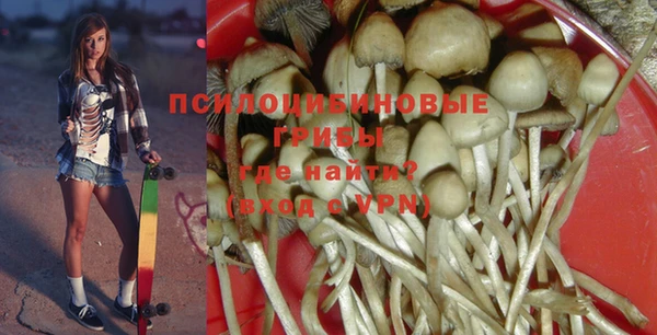 PSILOCYBIN Снежногорск