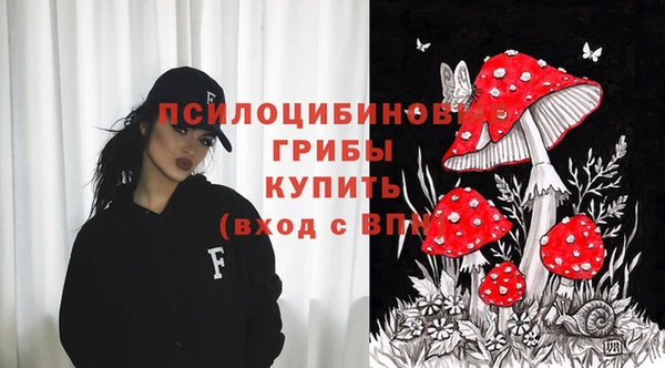PSILOCYBIN Снежногорск