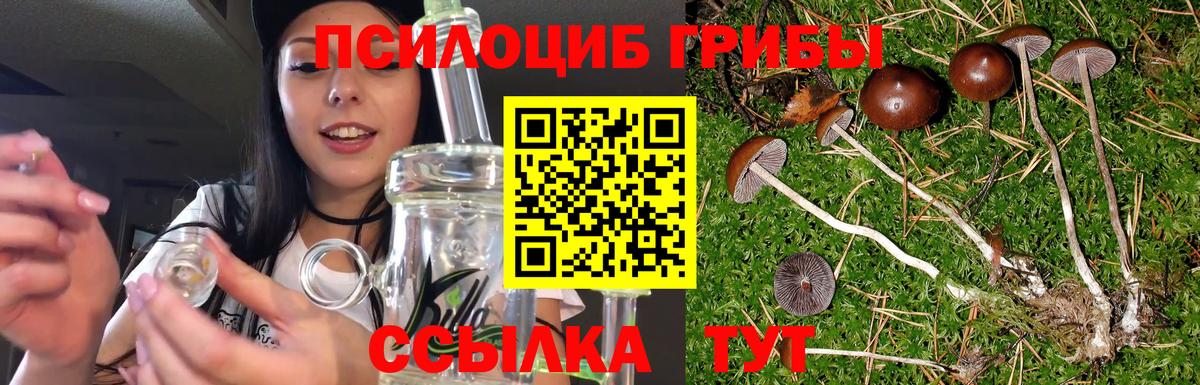 закладка  Назрань  Галлюциногенные грибы ЛСД 